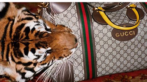 gucci maltrato animal|gucci handbags snakes.